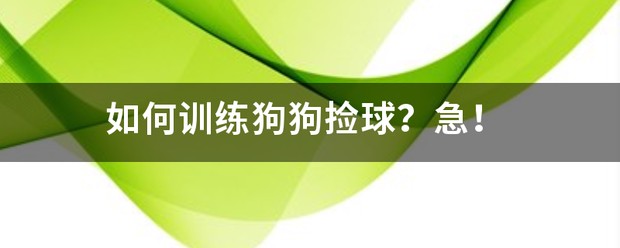 制定篮球交流计划以促进个人技能发展的方法_2